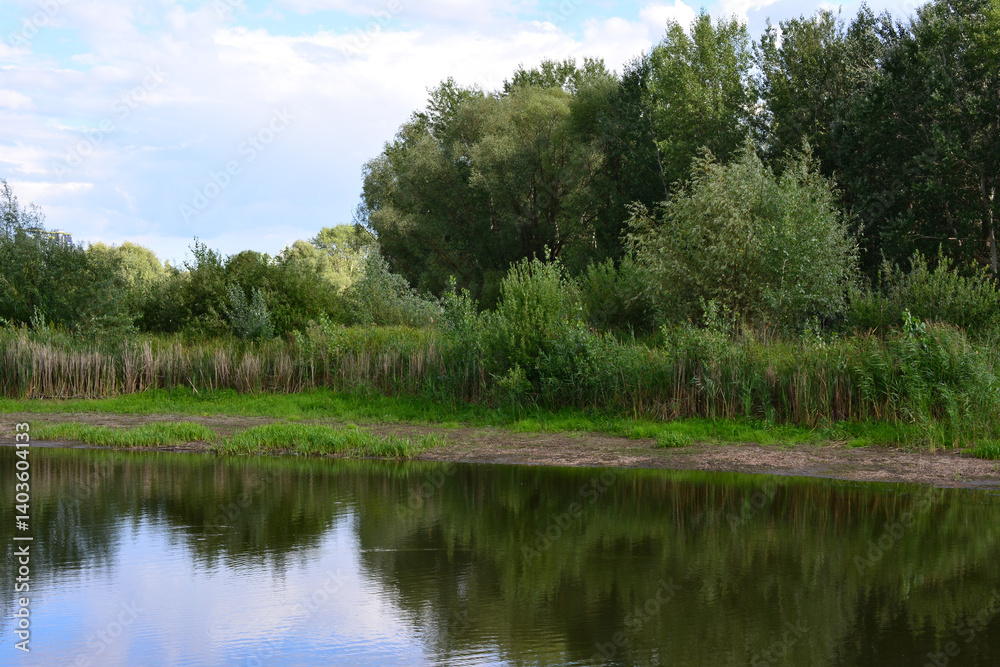 A peaceful summer landscape with a calm lake reflecting the sky and surrounding greenery A peaceful summer landscape with a calm lake reflecting the sky and surrounding greenery