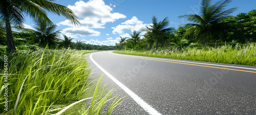 Obraz na płótnie Sunlit Road Lined with Palm Trees Under a Clear Blue Sky in a Tropical Landscape w salonie