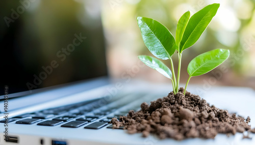 Young Green Plant Growing from Soil on Laptop Keyboard Symbolizing Digital Growth on a Defocused Background