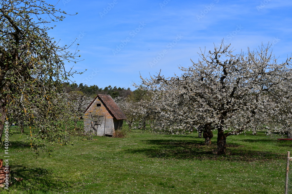 Schöne Landschaft bei Kalchreuth in Franken zur Kirschblüte