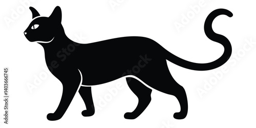 Photography black silhouette of a cat