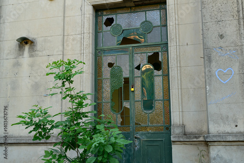 There is a door that features a broken piece of glass, with a lovely plant situated right in front of it, adding some greenery