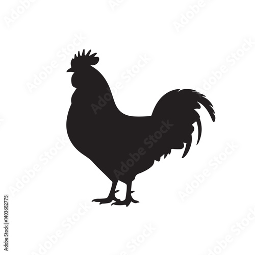 Rooster silhouette vector. Chicken cock silhouette,vector images isolated on white background