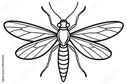Mayfly Silhouette Sketch