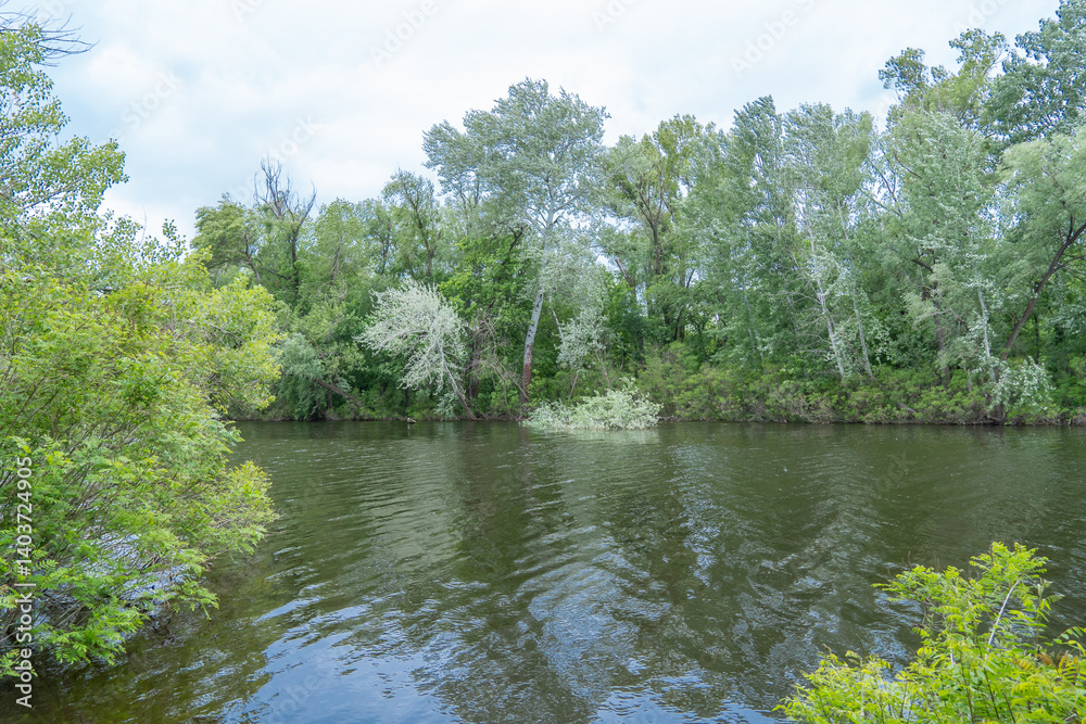 Spring view on picturesque river on natural park. Trees and plants water's edge with green rivershore. Landscape with lush foliage and dense grove on background. Atmospheric water in nature reserve. Spring view on picturesque river on natural park. Trees and plants water's edge with green rivershore. Landscape with lush foliage and dense grove on background. Atmospheric water in nature reserve.