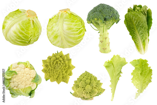 Collection of different types of cabbage isolated on white