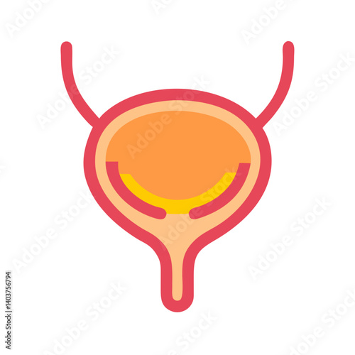 Bladder Icon Representing Urinary System Anatomy or Function