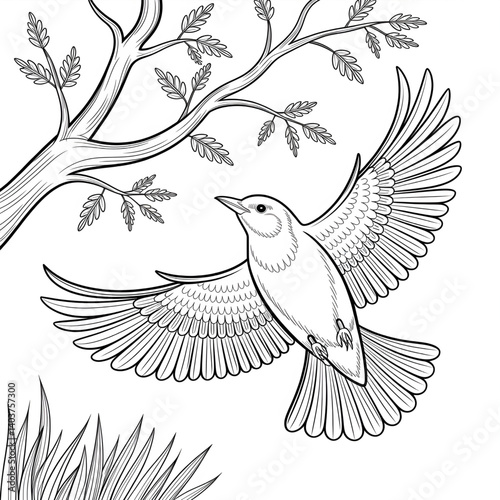 birds on a branch coloring page