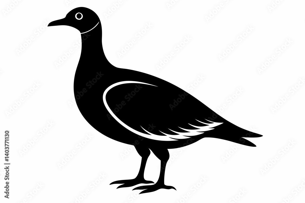 Fototapeta premium american woodcock sihouette black vector