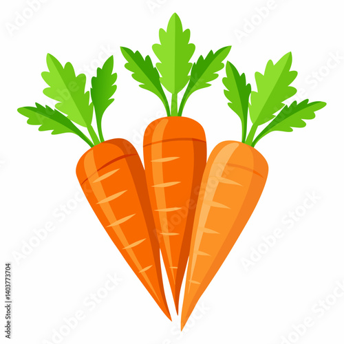 carrot Fruit isolated vector