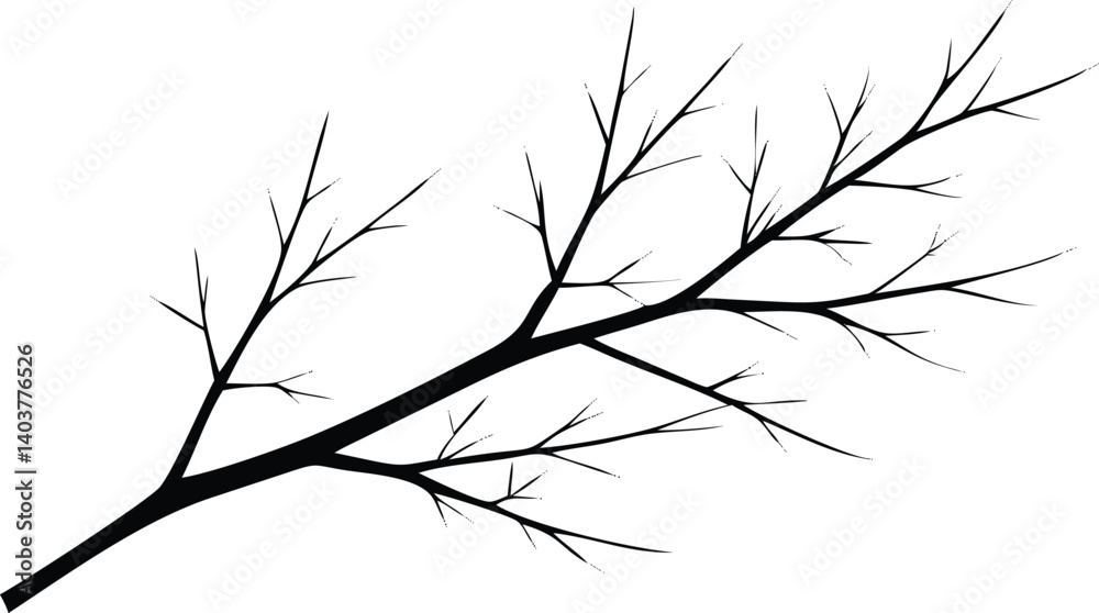 Fototapeta premium Branch Silhouette with Twigs on Transparent Background