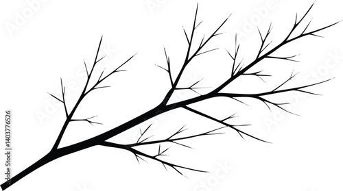 Branch Silhouette with Twigs on Transparent Background