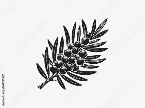 Sea Buckthorn Fruit Silhouette with Branch and Leaves for Herbal, Organic, and Botanical-Themed Designs