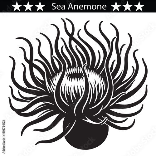 Sea Anemone silhouette design, eps 10
