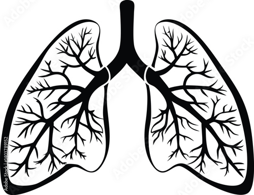 Black and White Illustration of Human Lungs Anatomy