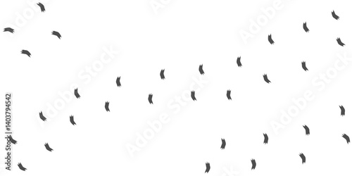 Footprints of Chameleon, Traces of a Reptilia on white background. Chameleon silhouette animal tracks. Paw Print. Vector illustration. EPS10.