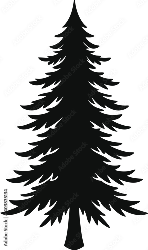Spruce Tree with white background (5).eps Spruce Tree with white background (5).eps