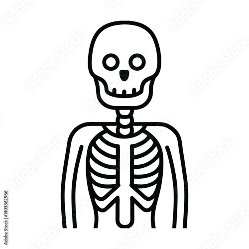 human skeleton line art on white background.eps