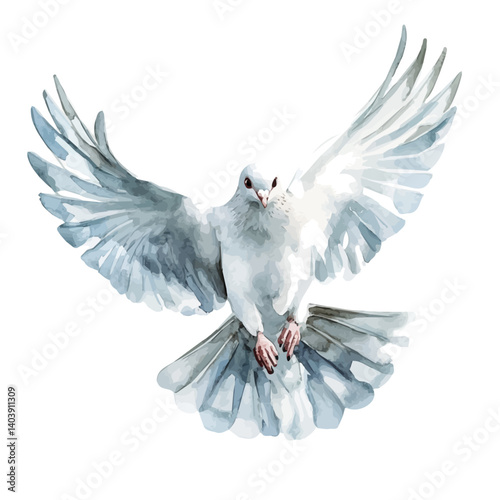 watercolor of Dove In Mid-flight, vector, isolated on a white background.