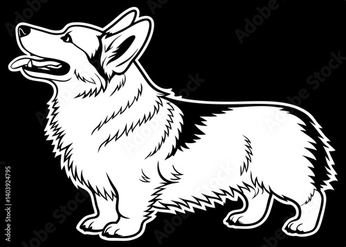 Corgi dog illustration on black background