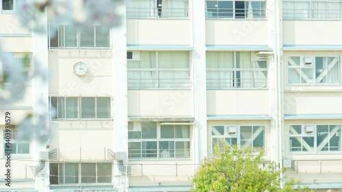 桜越しに見える学校の校舎。日本の春らしい風景