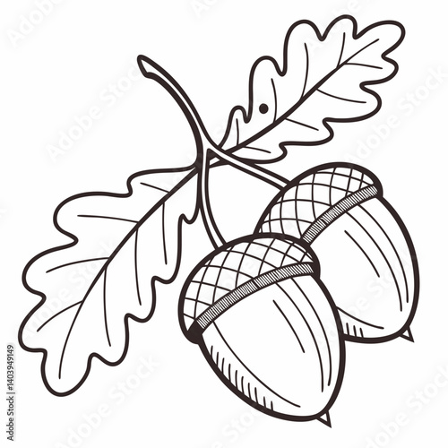 Simplified acorn vector with soft shading and bold outlines