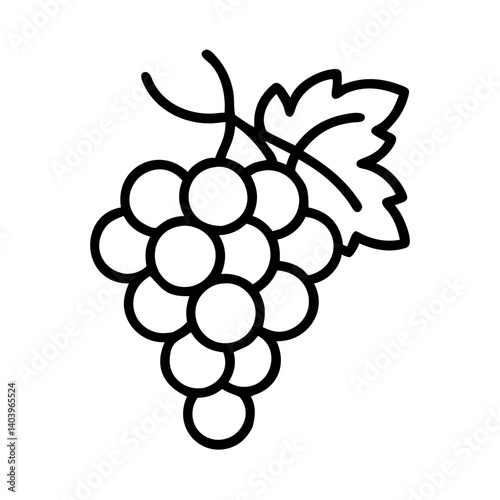 Vector grapes illustration, fruit grapes drawing, grapes icon, grapes outline, grapes design