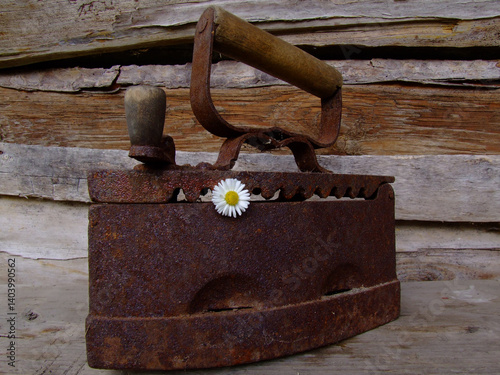 Antique iron with chamomile: the contrast of the past and nature