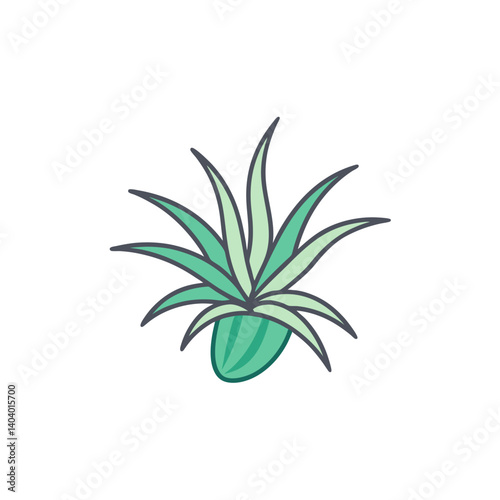 air plant doodle icon vector illustration on transparent background