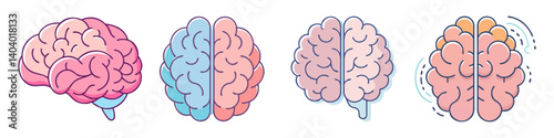 Human brain anatomy icons set, flat line vector illustration of cerebral hemispheres, pink and blue brain organ symbols for medical education
