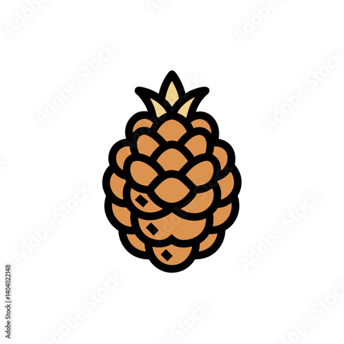 pine cone on white background