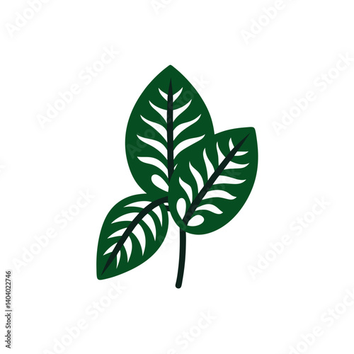green leaves isolated on white background