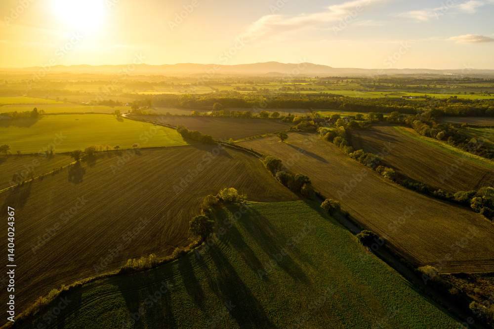 Fototapeta premium sunset over the fields