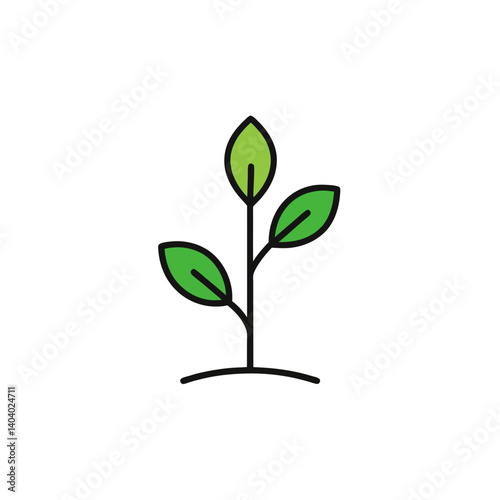 green plant isolated on white background