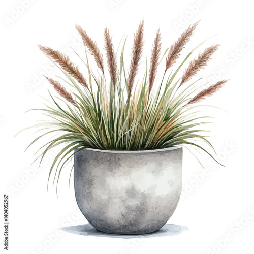 illustration of Cement Planter With Ornamental Grass, watercolor vector, isolated on a white background.
