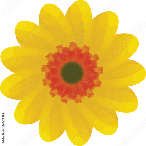 red center flower with yellow petals
