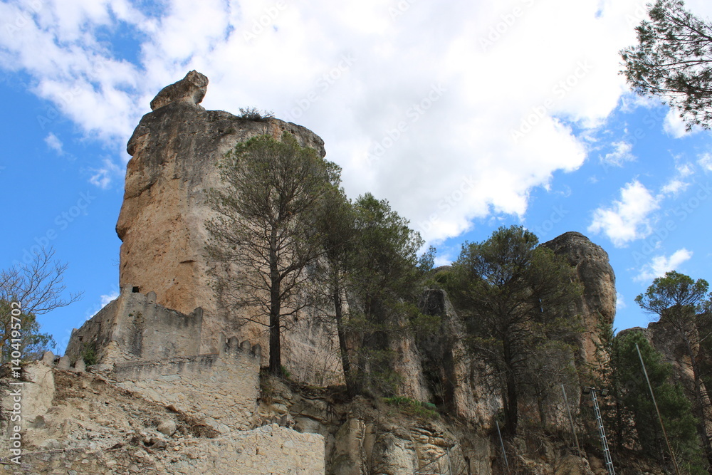 Naturaleza en Cuenca