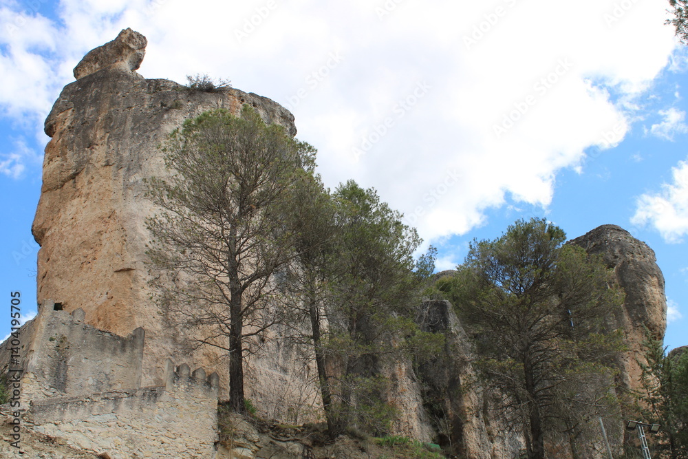 Naturaleza en Cuenca