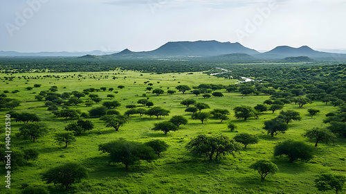 Obraz na płótnie Panoramic View Of Lush Green Savannah Landscape With Hills w salonie