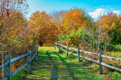 Autumn trail