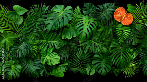 Obraz na płótnie Dense Arrangement Of Lush Green Tropical Leaves With Orange Butterfly Against Black Background w salonie