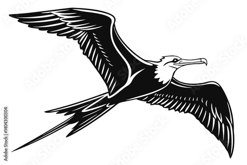 Black Frigate bird, a wild bird vector illustration with powerful wings