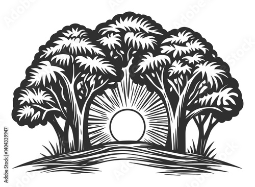 Black and White Engraving of Trees with Sunlight Behind Them