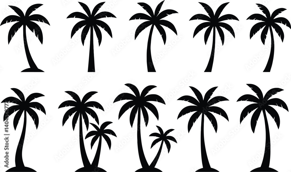Silhouetted palms and verdant palm trees create a tropical ensemble Silhouetted palms and verdant palm trees create a tropical ensemble