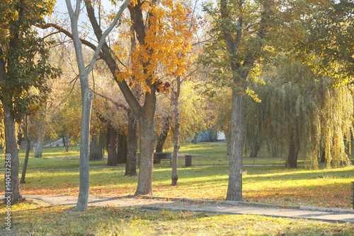 Beautiful autumn park with ...