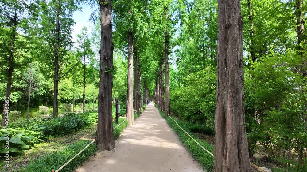 서울 상암공원 서울 상암공원