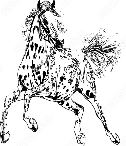 A timeless silhouette: The graceful form of a horse in black and white, embodying elegance and freedom.