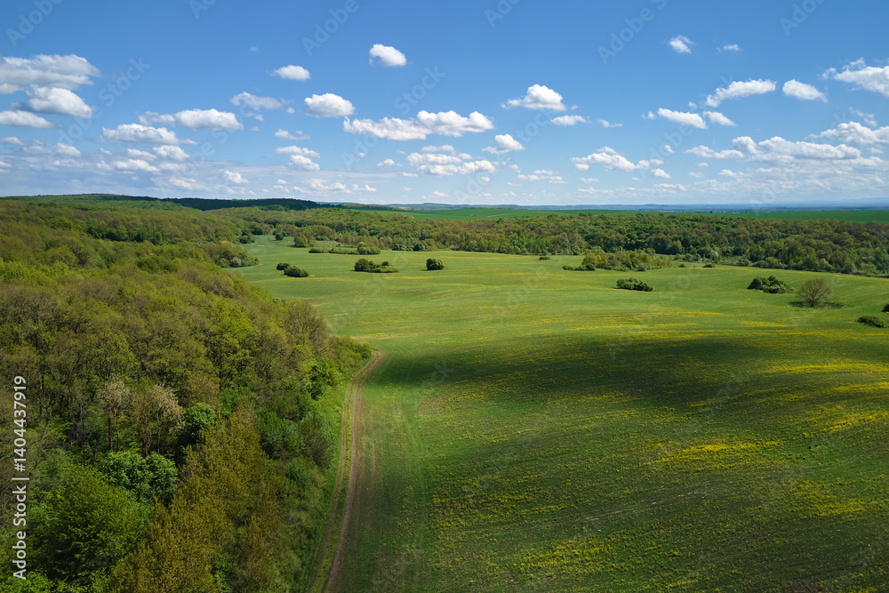 Fototapeta premium Agricultural cultivated field in summer season with growing crops. Green farm fields. Farming and agriculture industry