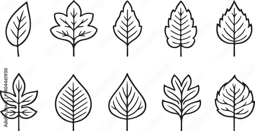 This image showcases a collection of black and white leaf illustrations, highlighting the intricate vein patterns and structures of different leaf types. This image showcases a collection of black and white leaf illustrations, highlighting the intricate vein patterns and structures of different leaf types.