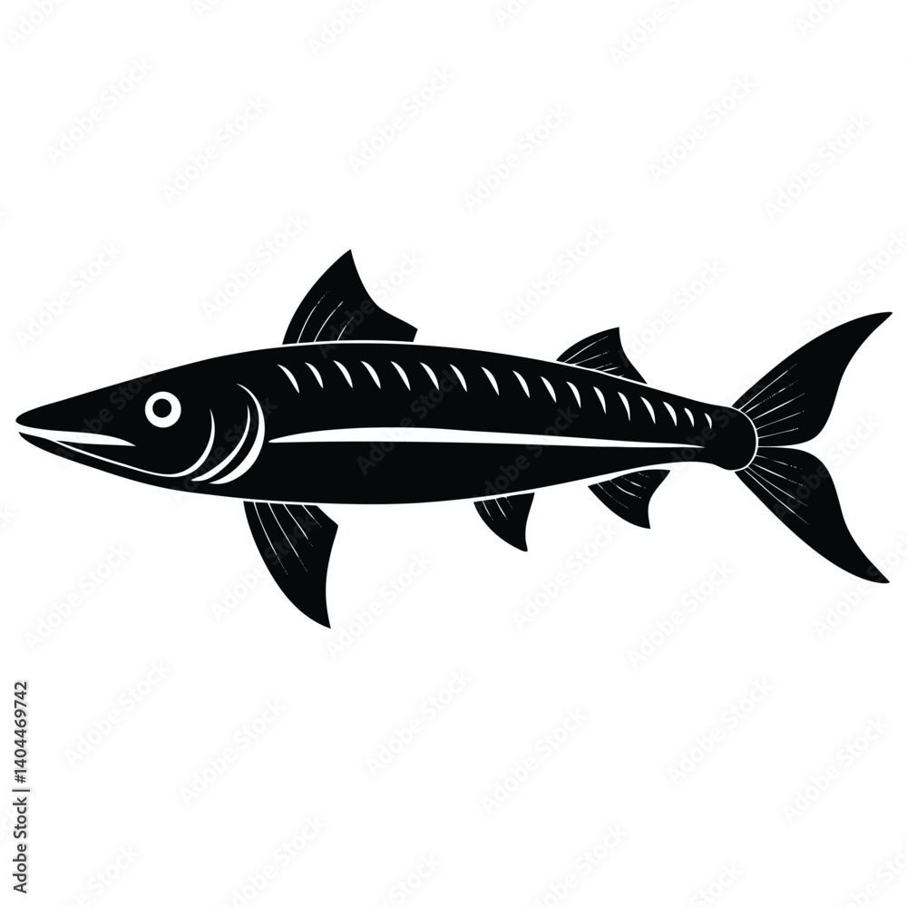Black Silhouette of a Barracuda Fish, Side View, Vector Illustration, Marine Life, Aquatic Animal, Ocean Creature, Isolated Design Black Silhouette of a Barracuda Fish, Side View, Vector Illustration, Marine Life, Aquatic Animal, Ocean Creature, Isolated Design